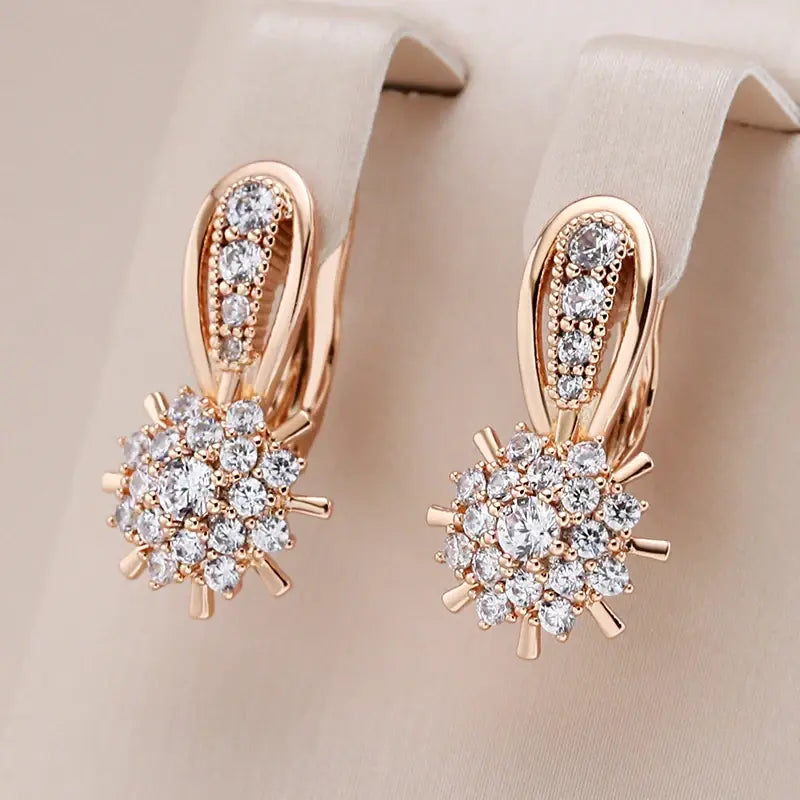 Elegant, shiny earrings